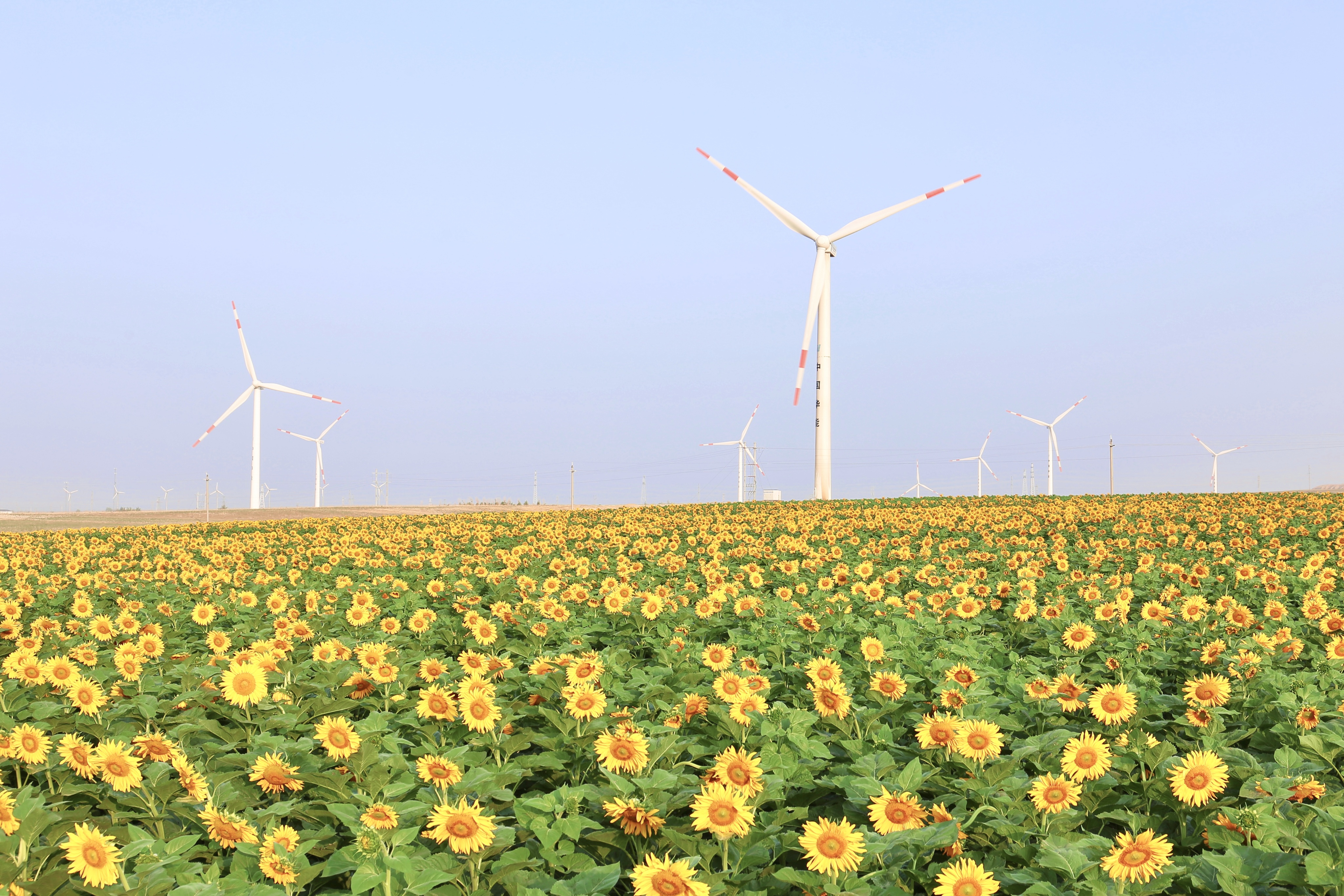 威尼斯9499登錄入口股份助力推動(dòng)風(fēng)電場(chǎng)控制技術(shù)國(guó)際研發(fā)項(xiàng)目順利實(shí)施